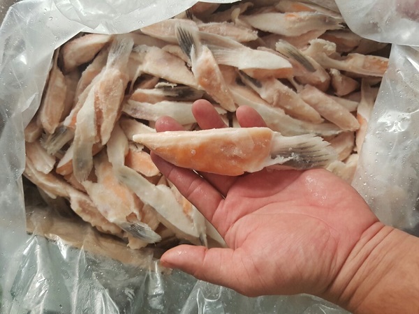 vây cá hồi
